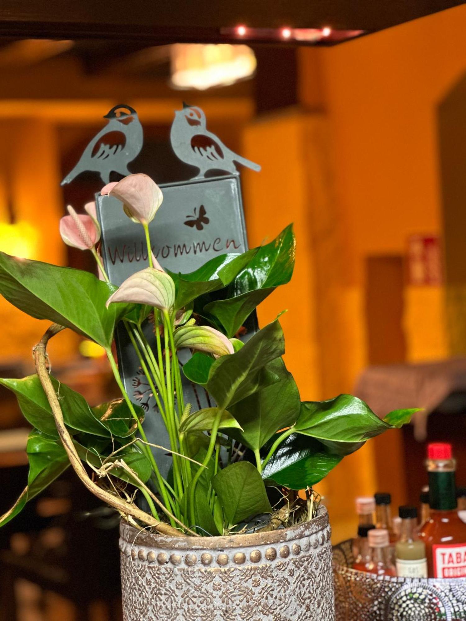 Gasthof Hasen Grill Masters Geislingen Luaran gambar